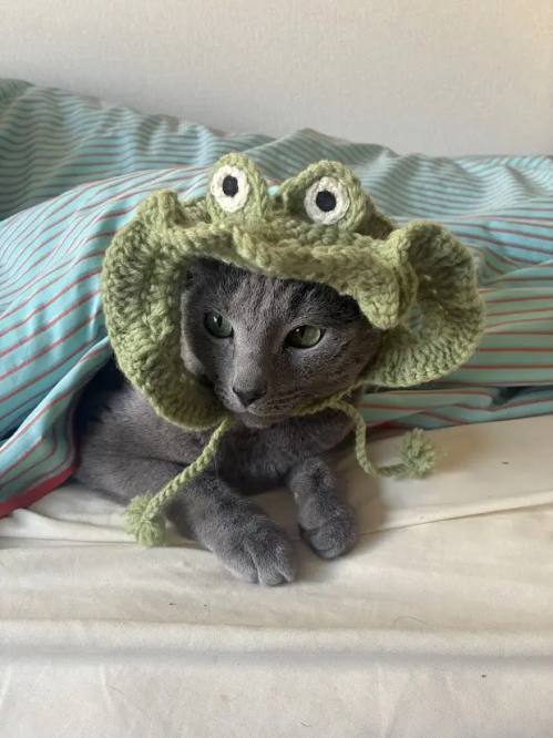 森元香帆の画像