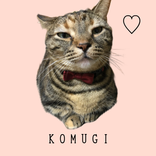 南千明希の画像