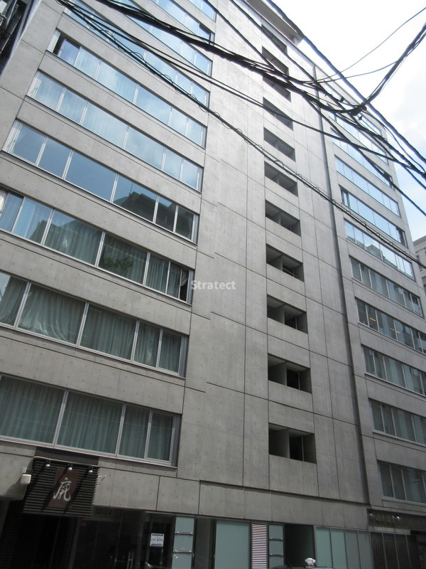 デュープレックス銀座タワー8/14ビル