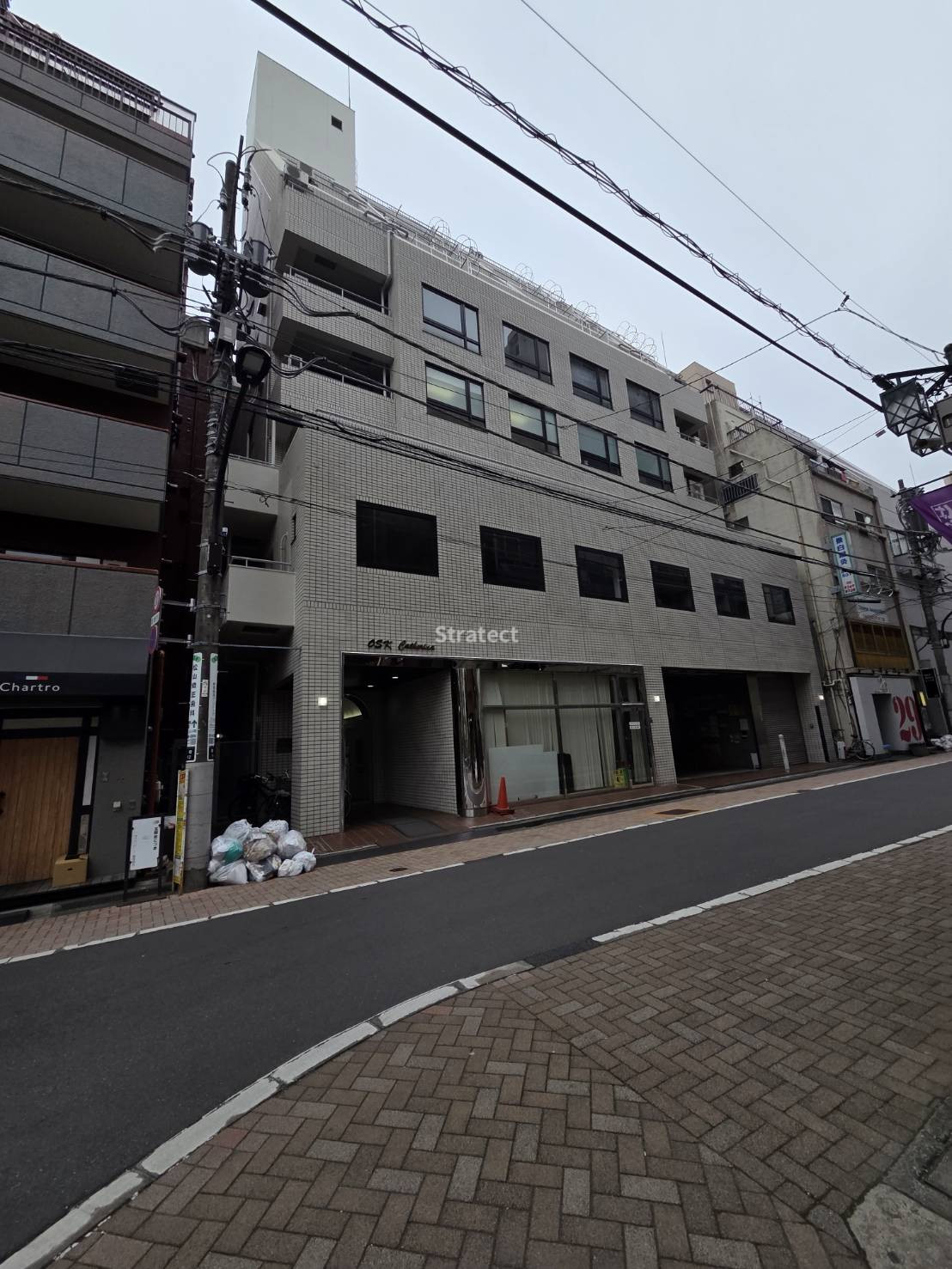 オスカカテリーナ