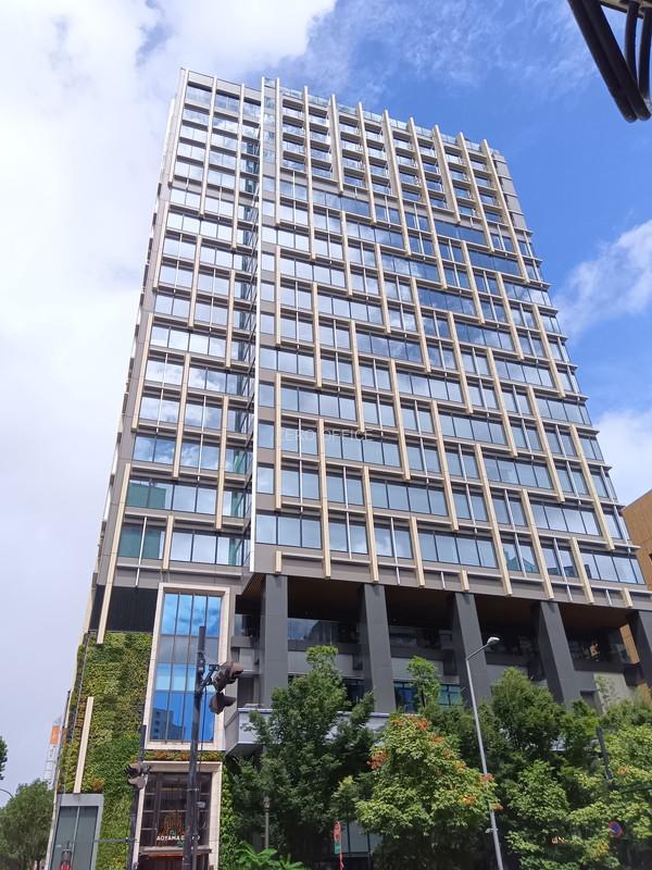 ｔｈｅ ＡＲＧＹＬＥ ａｏｙａｍａ